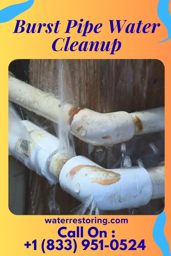 Burst Pipe Water Cleanup in Offutt AFB, NE